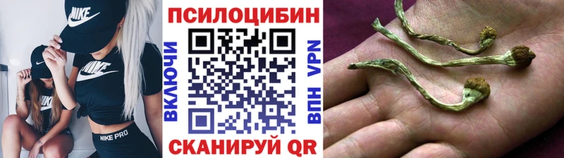 Псилоцибиновые грибы ЛСД  Купить  Игра 